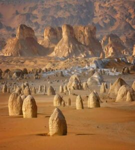 الصحراء البيضاء 