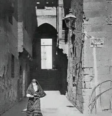 بير الوطاويط